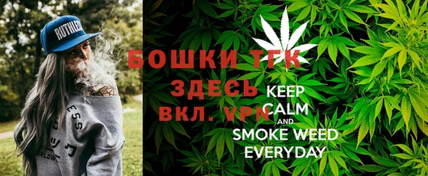 прущий лед Нея