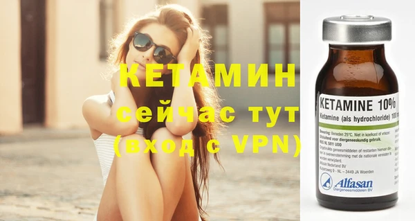прущие грибы Дмитровск