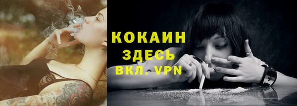 сатива Нефтекумск