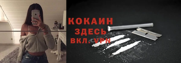 сатива Нефтекумск