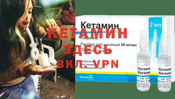 сатива Нефтекумск