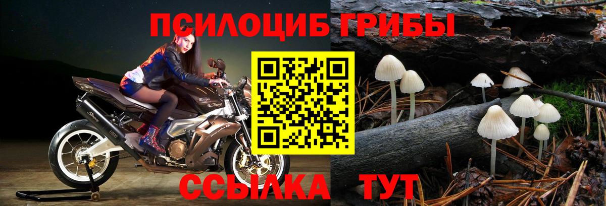 Ставрополь  Псилоцибиновые грибы ЛСД  Галлюциногенные грибы ЛСД  Вход с VPN 
