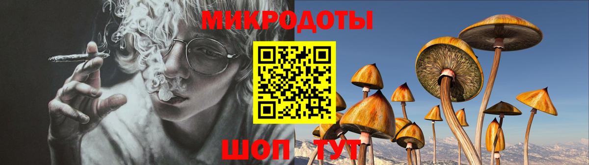 Псилоцибиновые грибы ЛСД Ставрополь
