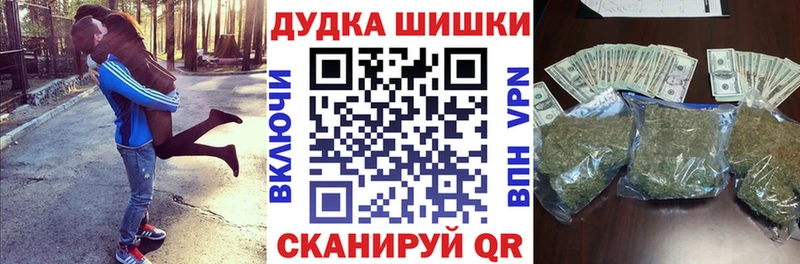 где можно купить   Ставрополь  Каннабис конопля 